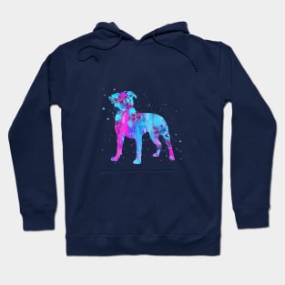 American Pit Bull Terrier, Hoodie